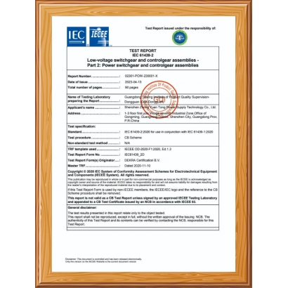 CB  試驗(yàn)報(bào)告